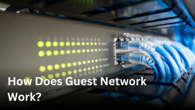 how does guest network work